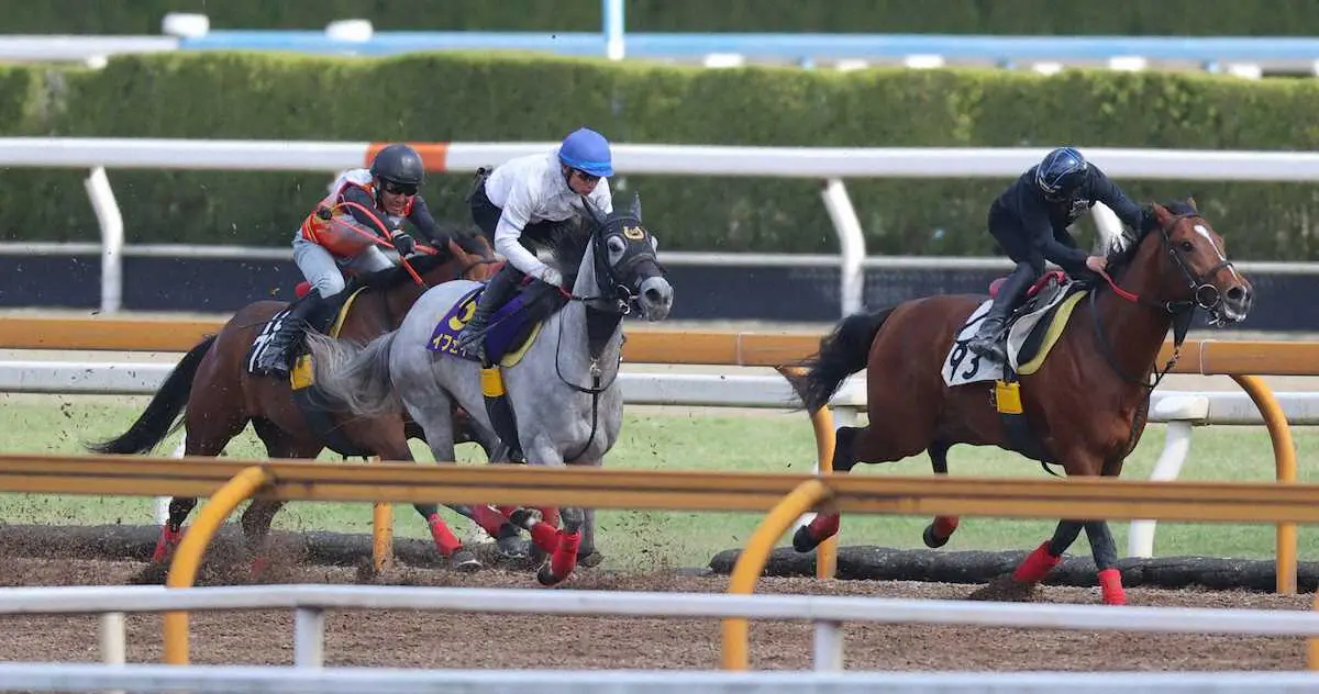 【画像・写真】【NHKマイルC・1週前追い】イフェイオン　伸びが際立つラスト11秒4「いい負荷をかけた」