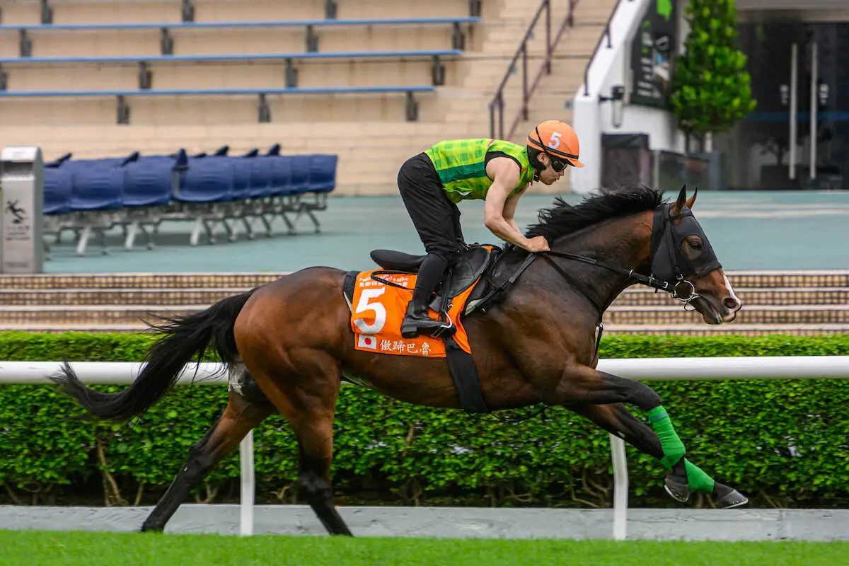 【画像・写真】エルトンバローズ（香港ジョッキークラブ提供）