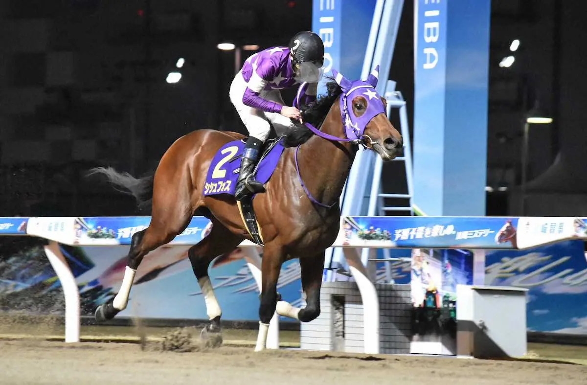 【画像・写真】重賞連勝を狙うシシュフォス