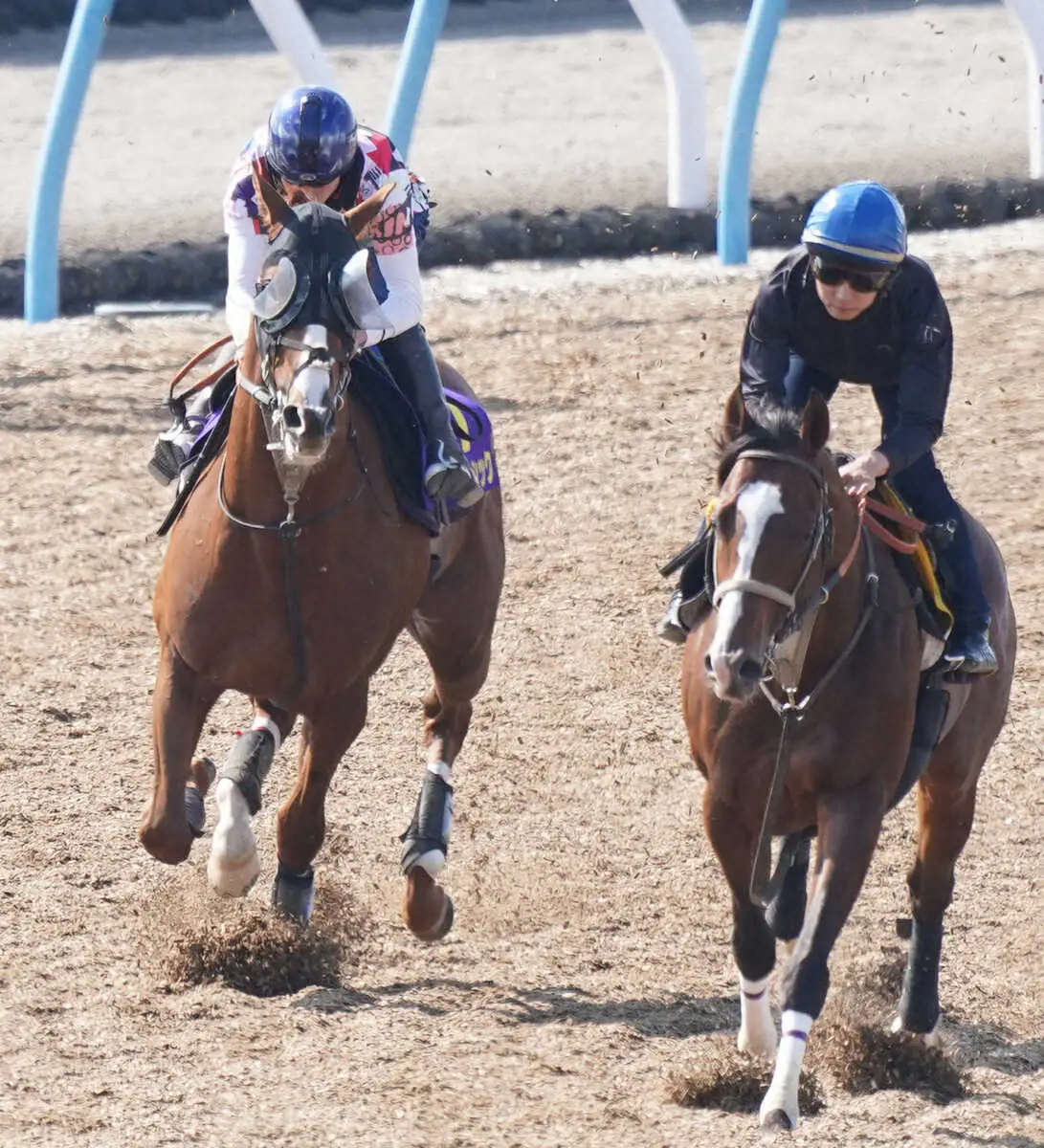 【画像・写真】横山武を背に併せで追い切るアーバンシック（左）（撮影・村上大輔）