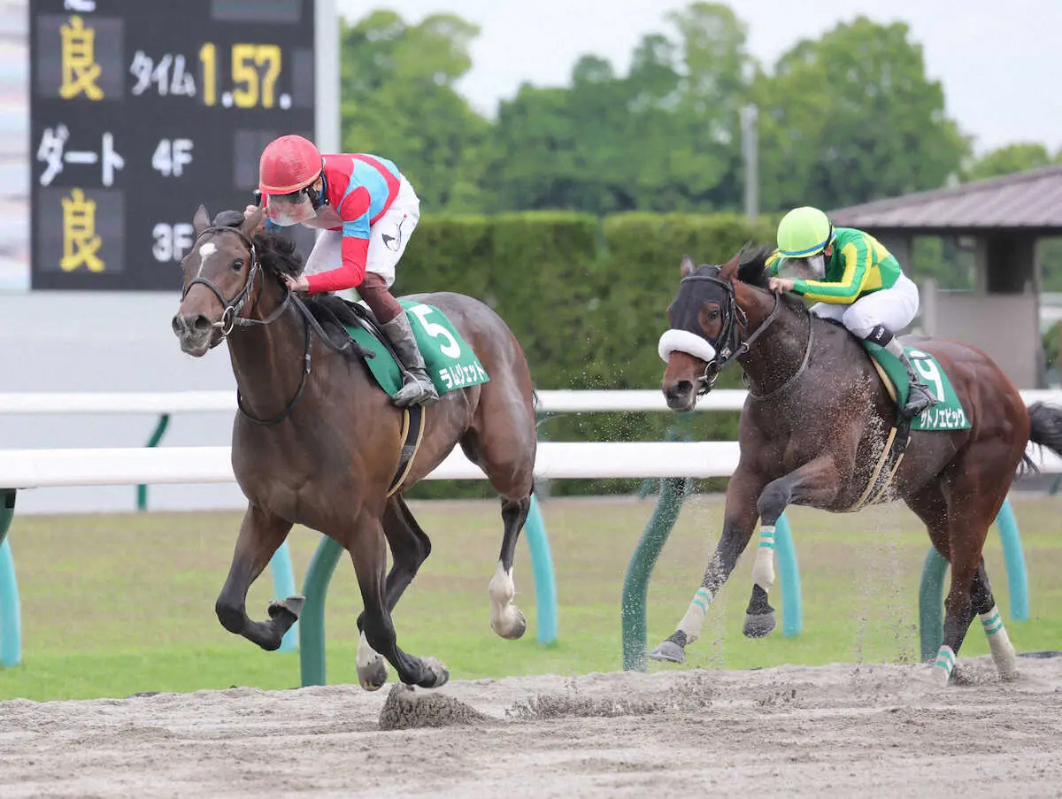 【画像・写真】3歳ダート3冠第2戦東京ダービーの枠順決定　3連勝中のラムジェットは7枠14番