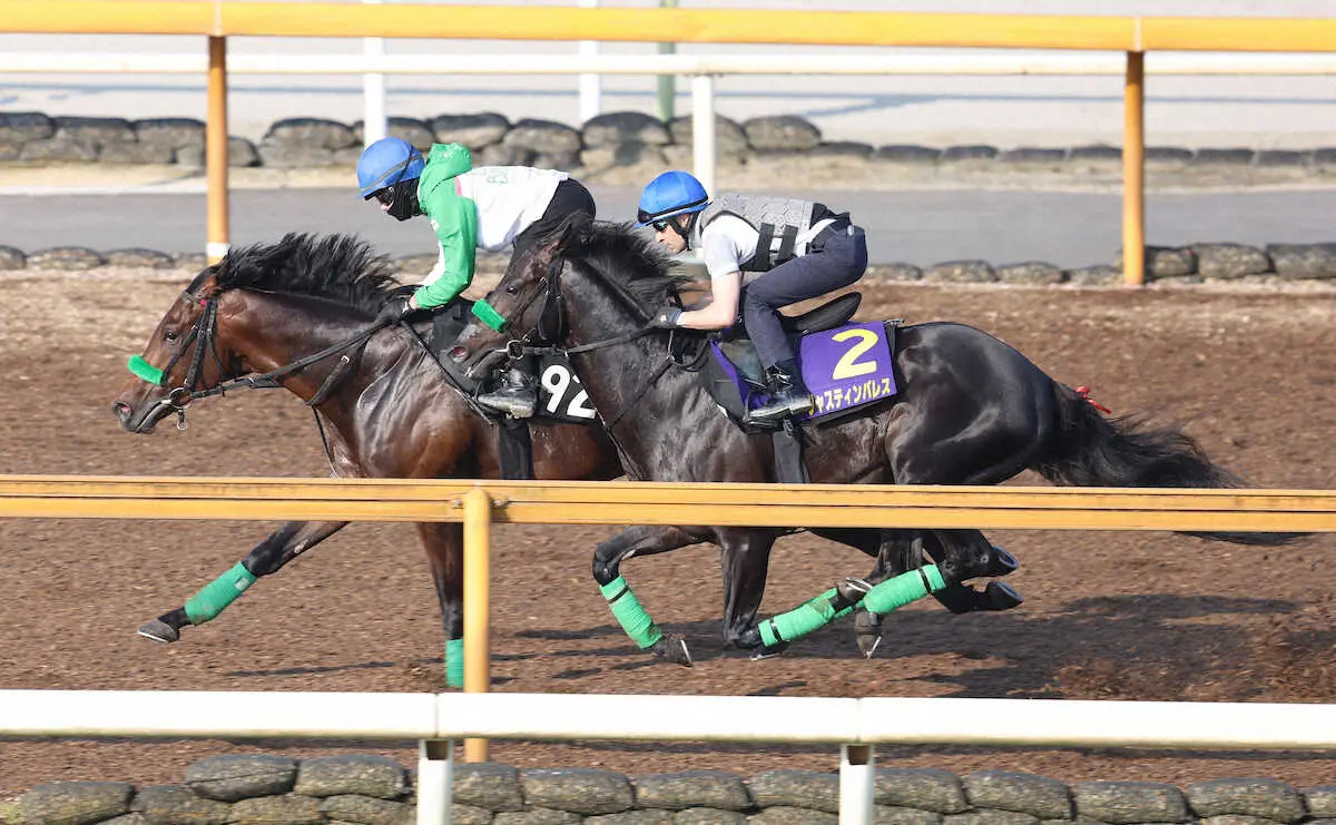 【画像・写真】クリストフ・ルメール騎手を背にCウッドを3頭併せジャスティンパレス（右）