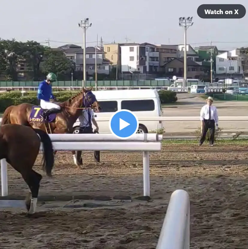 【画像・写真】【動画】浦和競馬　さきたま杯　優勝は１番人気のレモンポップ!!　