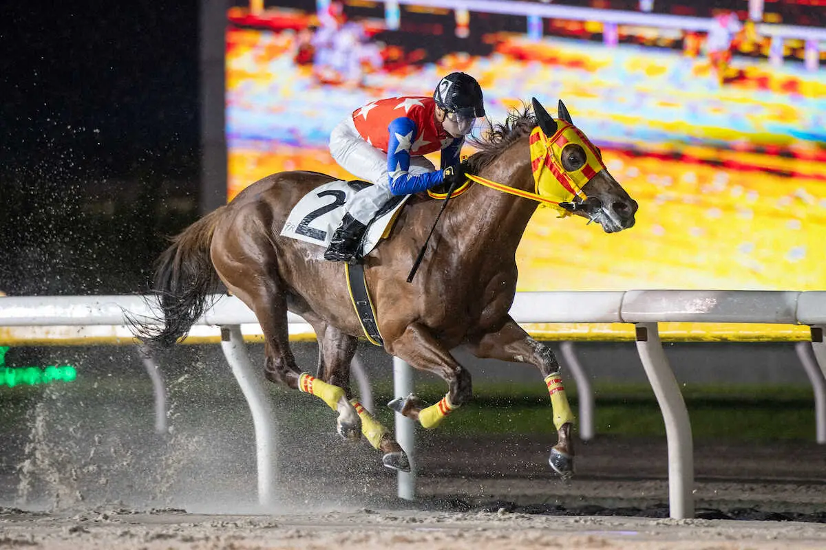 【画像・写真】実績のある大井で白星を狙うシャルフジン