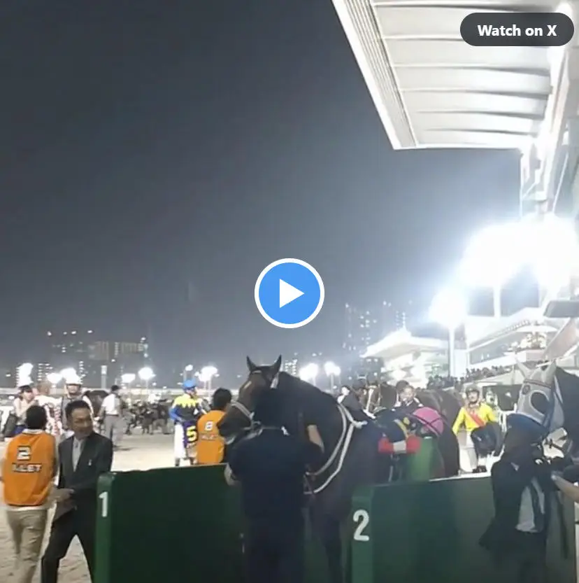 【画像・写真】【動画】帝王賞を制したのはキングズソード