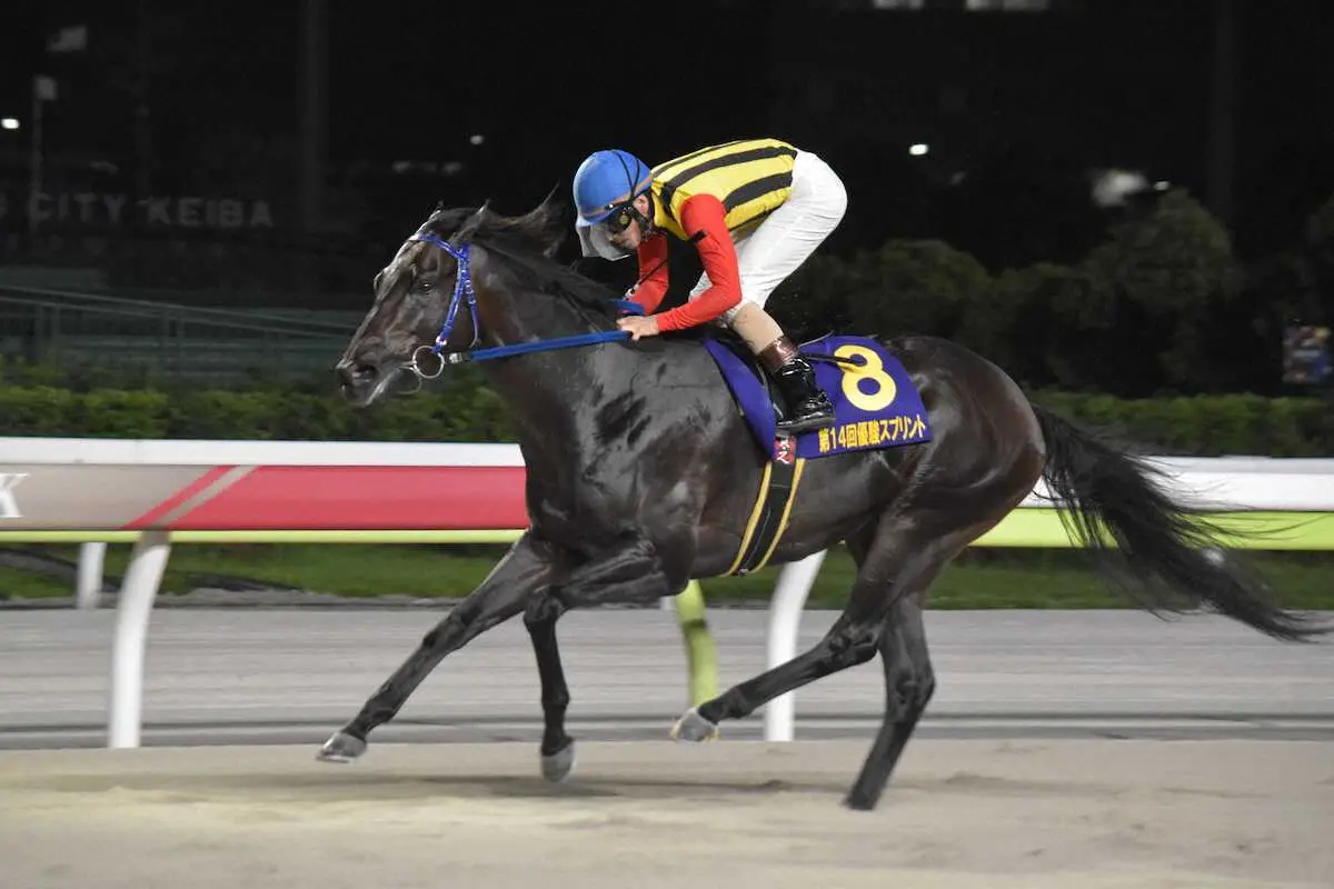 【画像・写真】直線早め先頭で押し切ったティントレット