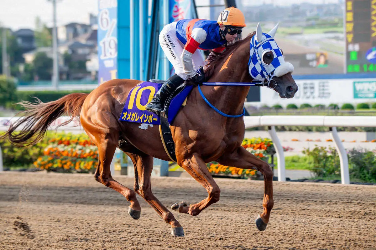 【画像・写真】重賞初制覇を狙うオメガレインボー