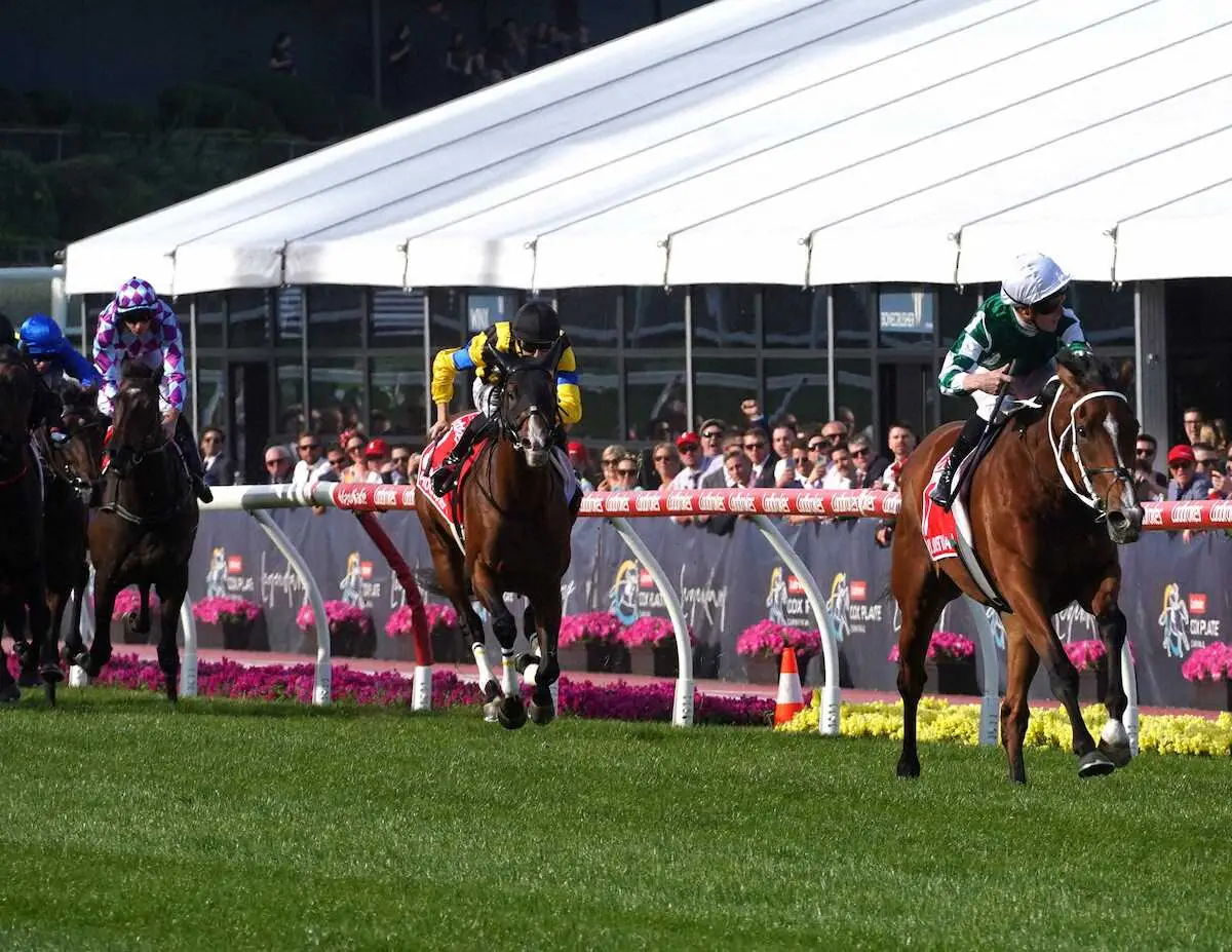 【画像・写真】【豪G1・コックスプレート】ヴィアシスティーナ圧巻8馬身差V　鞍上マクドナルドが史上3人目の3連覇