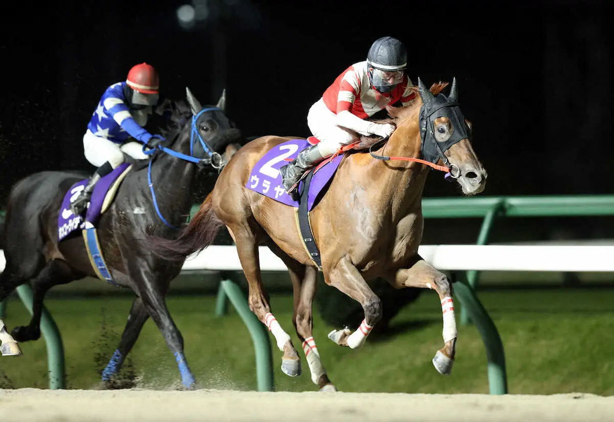 【画像・写真】昨年、絆カップを勝ったウラヤ（右）が始動戦をVで飾る（岩手県競馬組合提供）