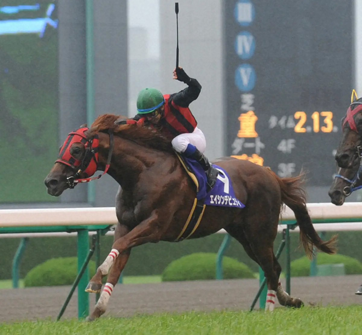 【画像・写真】08年の宝塚記念を制したエイシンデピュティ