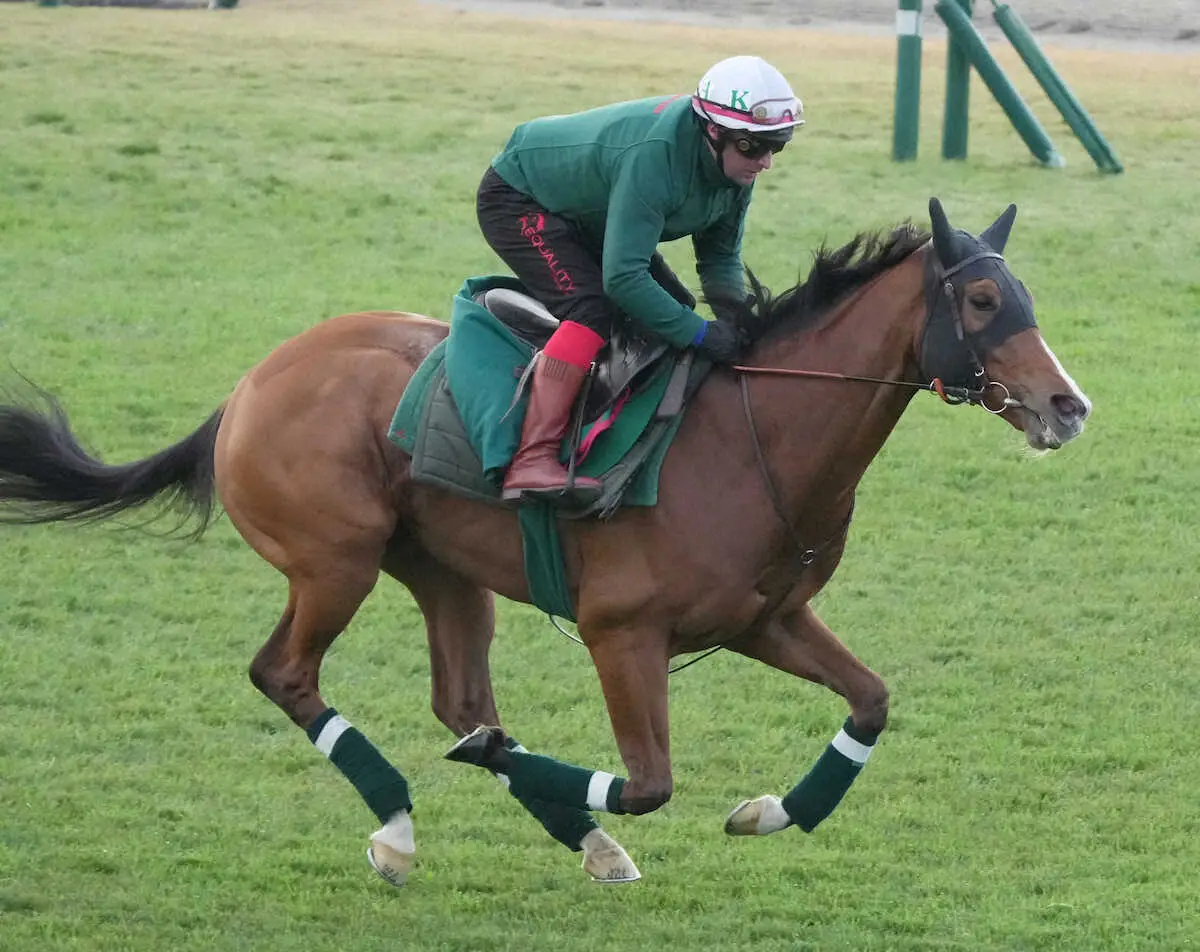 【画像・写真】「相続馬限定馬主」というタイトルから導かれたのは…唯一の海外馬カランダガン（撮影・郡司　修）