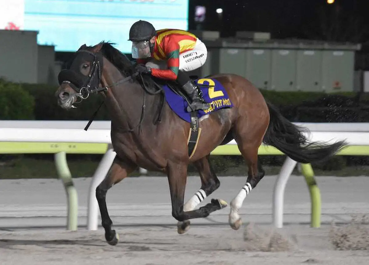 【画像・写真】【大井11R・勝島王冠】キングストンボーイ、実績舞台で逆襲