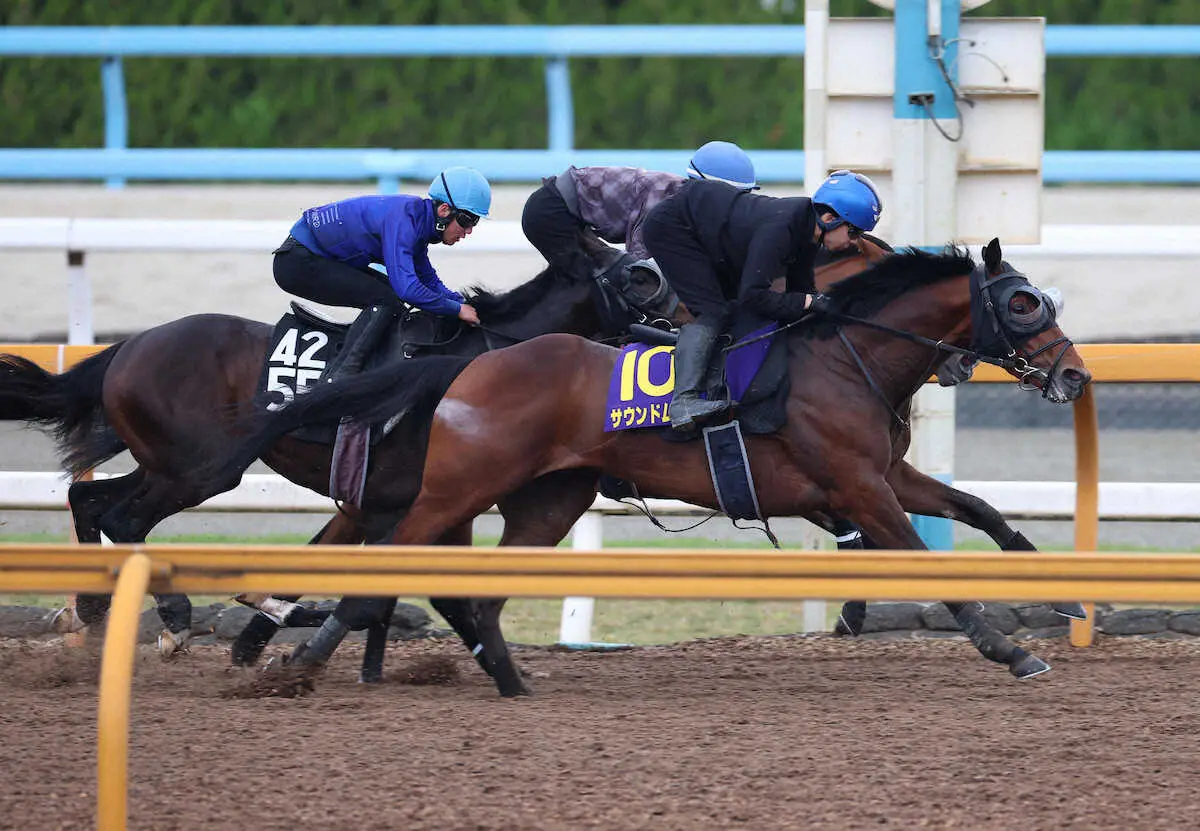 【画像・写真】【皐月賞】枠順決まって
