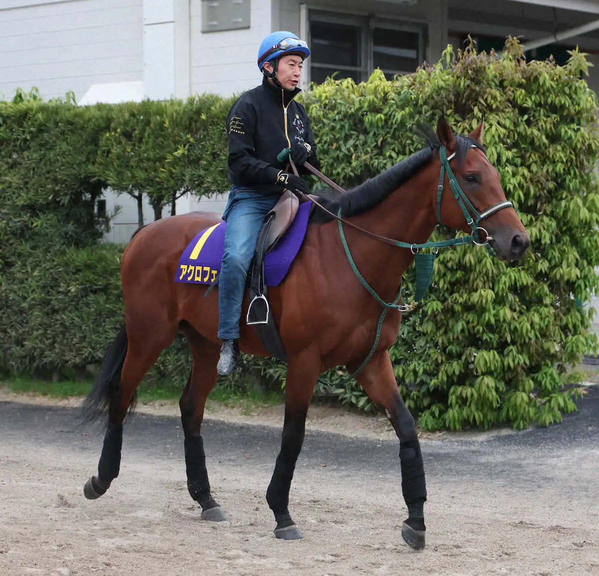 【画像・写真】アクロフェイズ