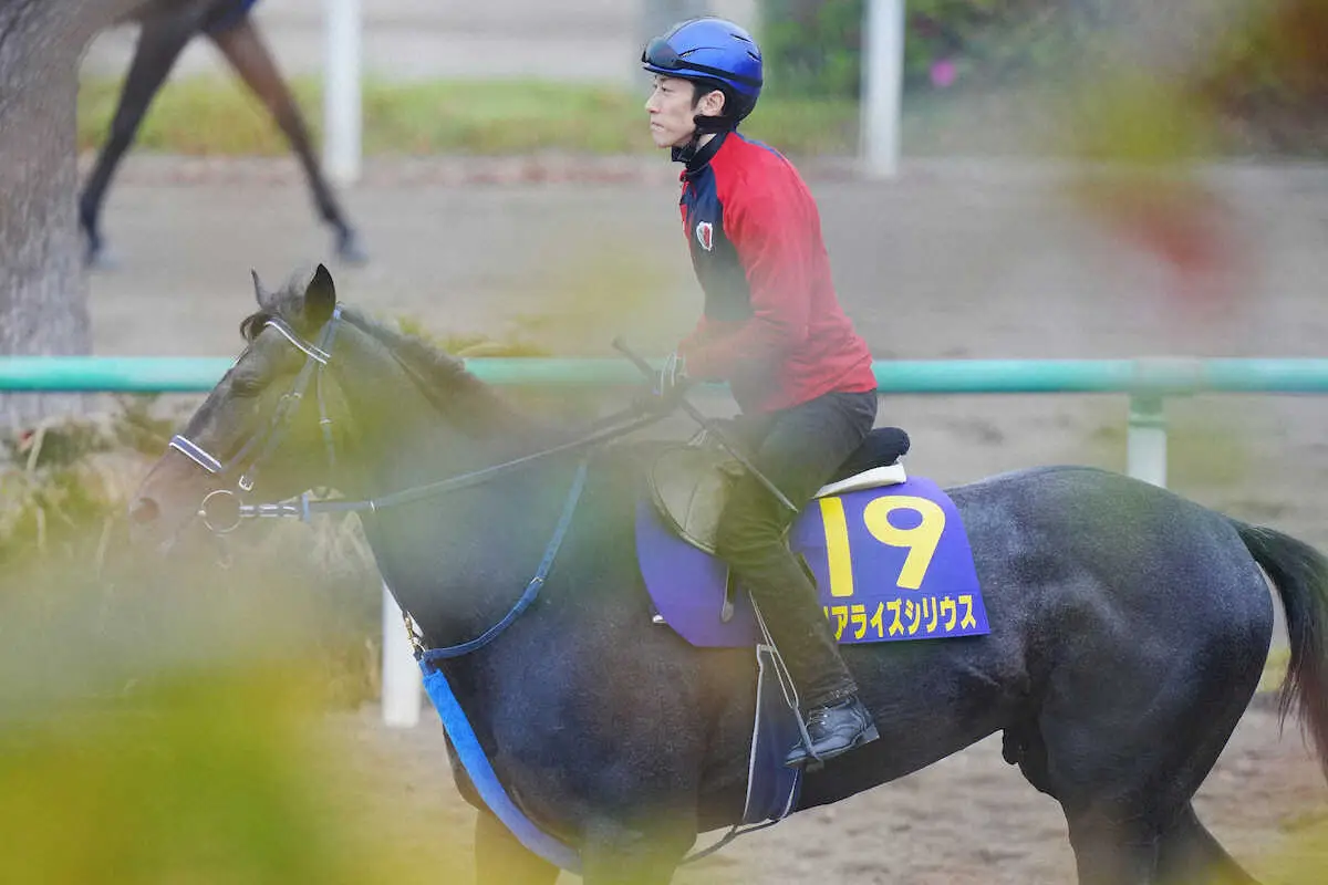 【画像・写真】リアライズシリウス