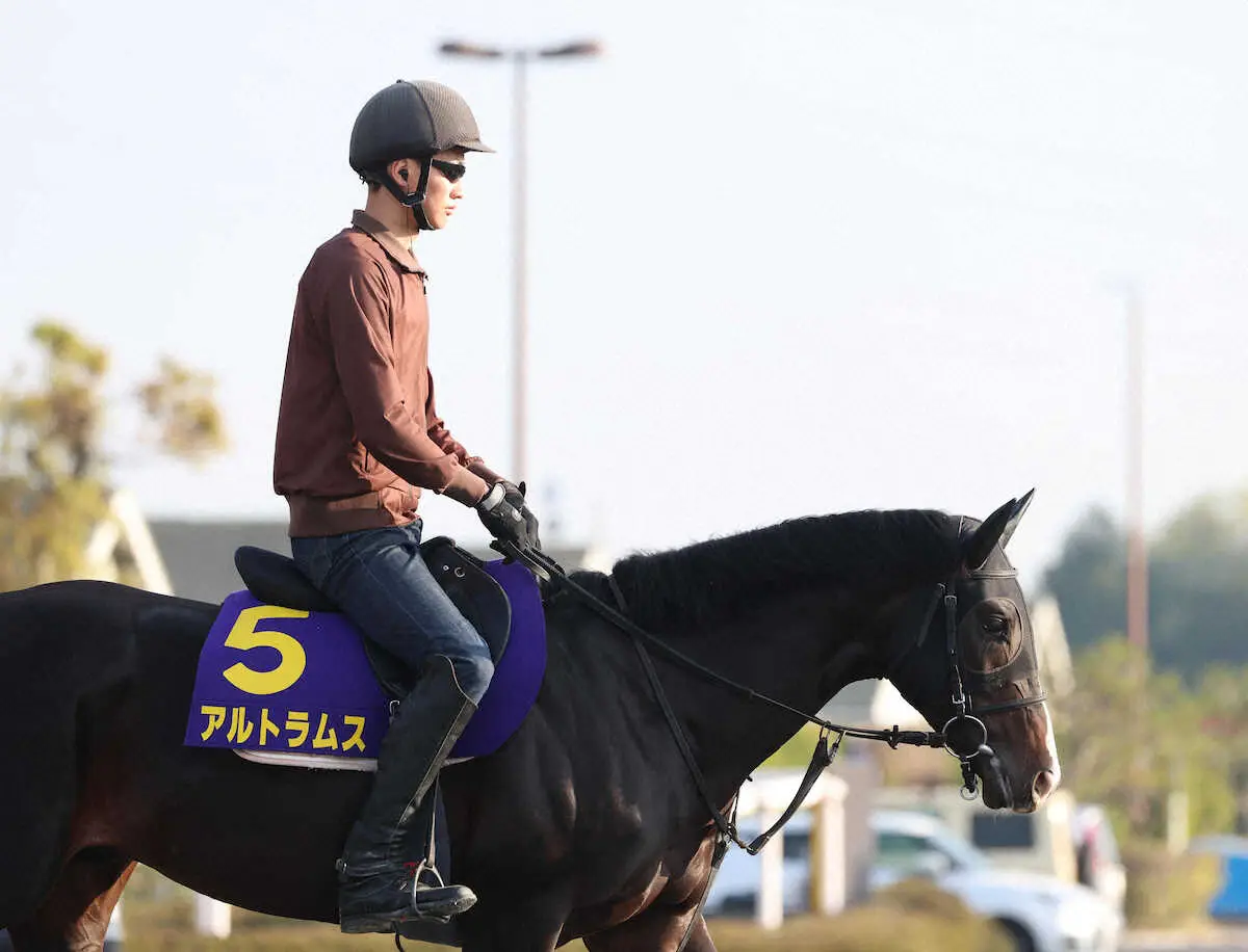 【画像・写真】アルトラムス