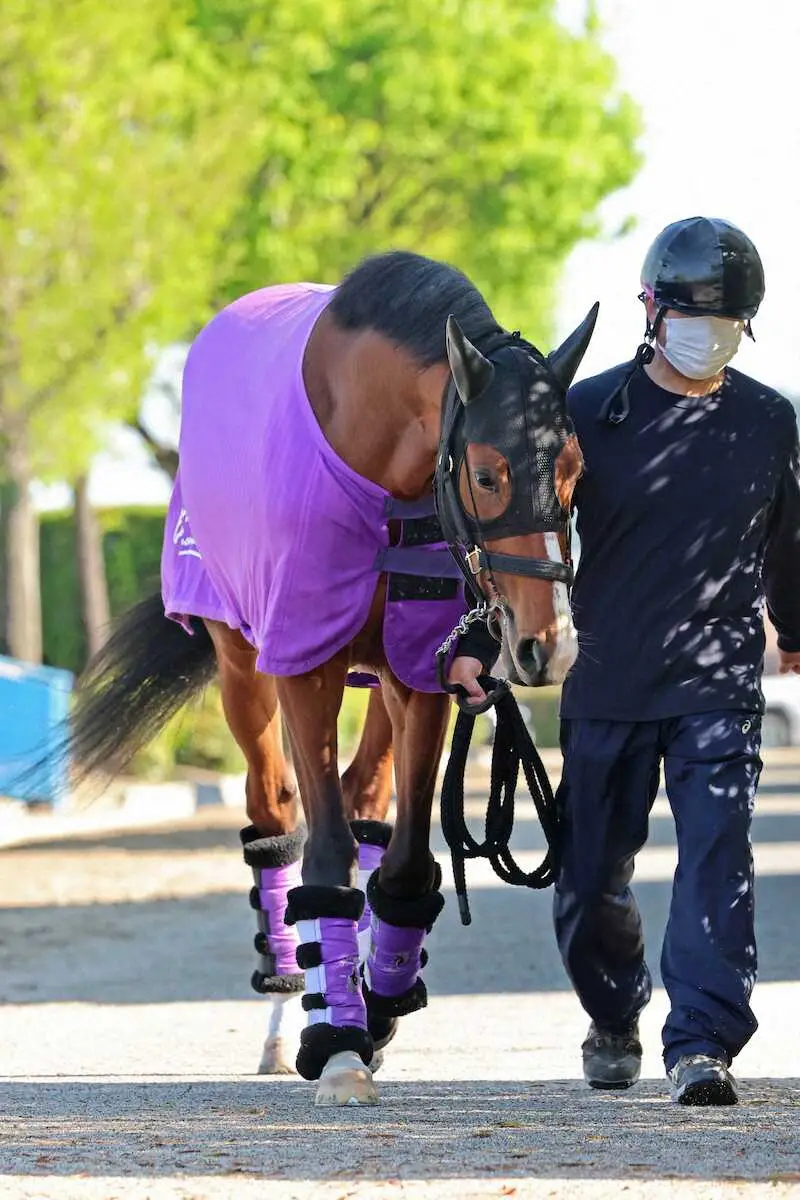 【画像・写真】アドマイヤクワッズ