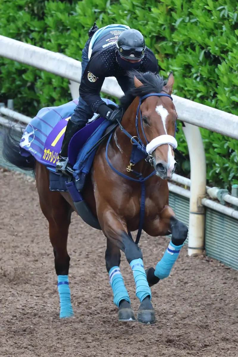 【画像・写真】【皐月賞】（1）カヴァレ混戦絶つ！最内からロスなく運べる