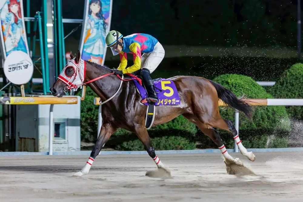 【画像・写真】【佐賀･第10回佐賀ヴィーナスカップ】26日発走　ソイジャガー強豪相手でも◎　予想印を公開