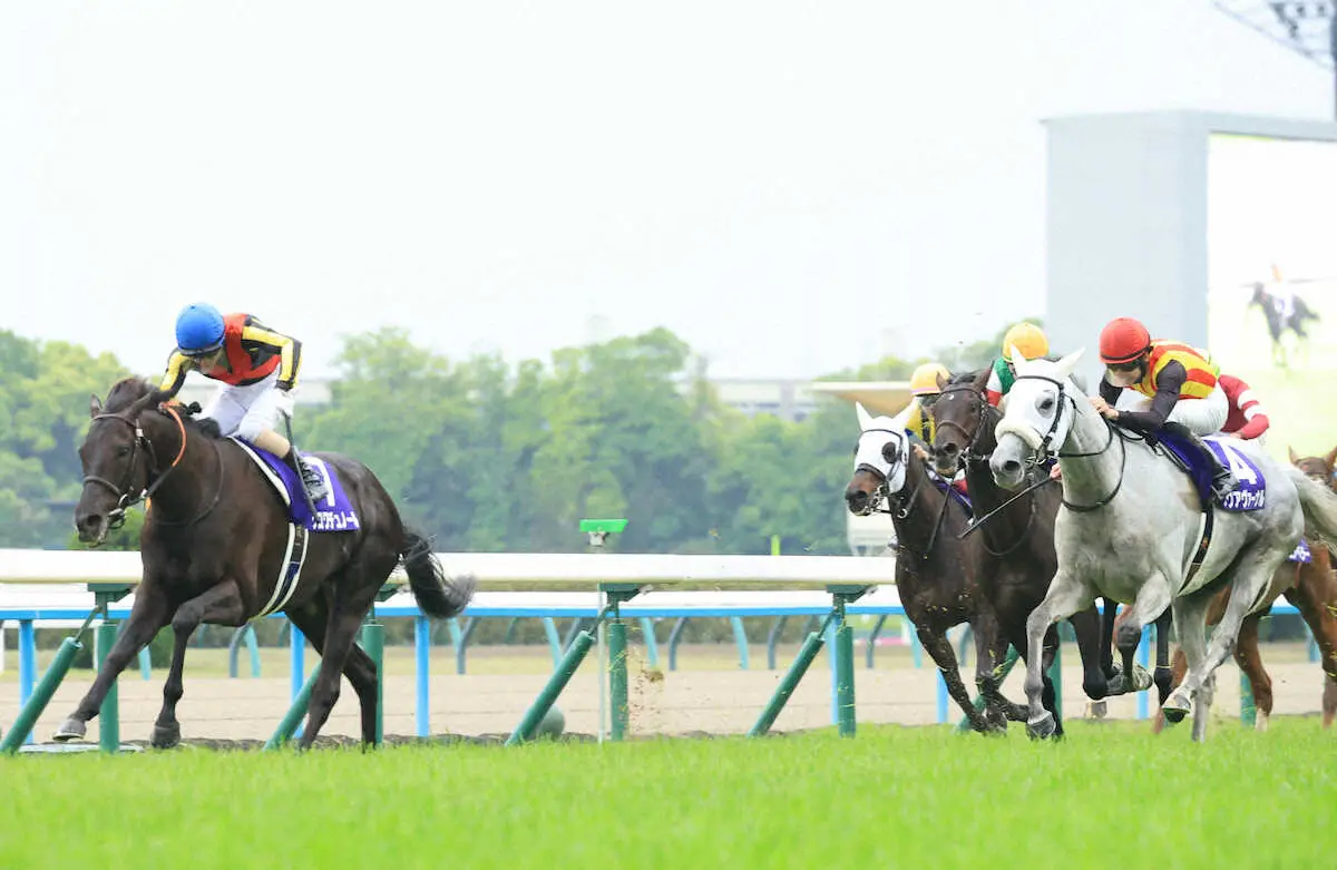 【画像・写真】＜天皇賞（春）＞レースを制したクロワデュノール（左）（撮影・中辻　颯太）