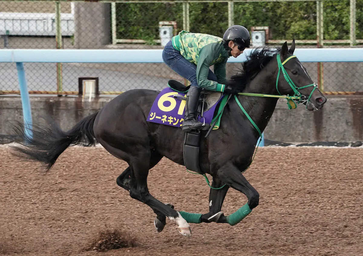 【画像・写真】単走で追い切るジーネキング（撮影・村上　大輔）
