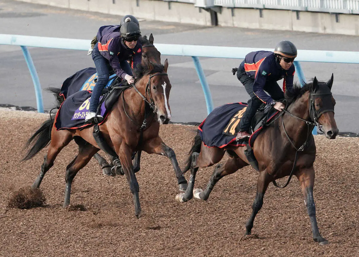 【画像・写真】3頭併せで追い切るサンダーストラック（左手前）（撮影・村上　大輔）