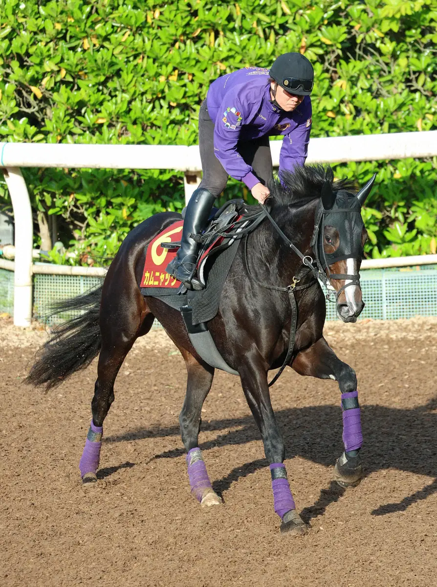 【画像・写真】昨年のオークス馬カムニャック