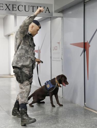 リオ州軍警察の訓練で爆発物を探す警察犬＝25日、リオデジャネイロのガレオン国際空港