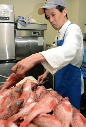 Ｊヴィレッジの食堂の厨房で魚を調理する西芳照さん