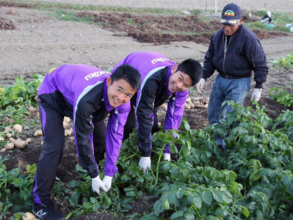 「農業部」の活動で中川さんと一緒にじゃがいも「ばれいしょ」の収穫をする龍谷サッカー部員