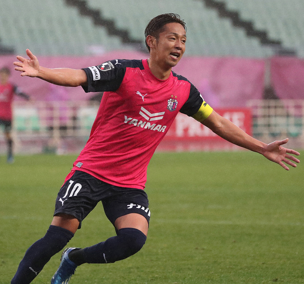 【画像・写真】雨の長居で季節外れのサクラ乱れ咲き！