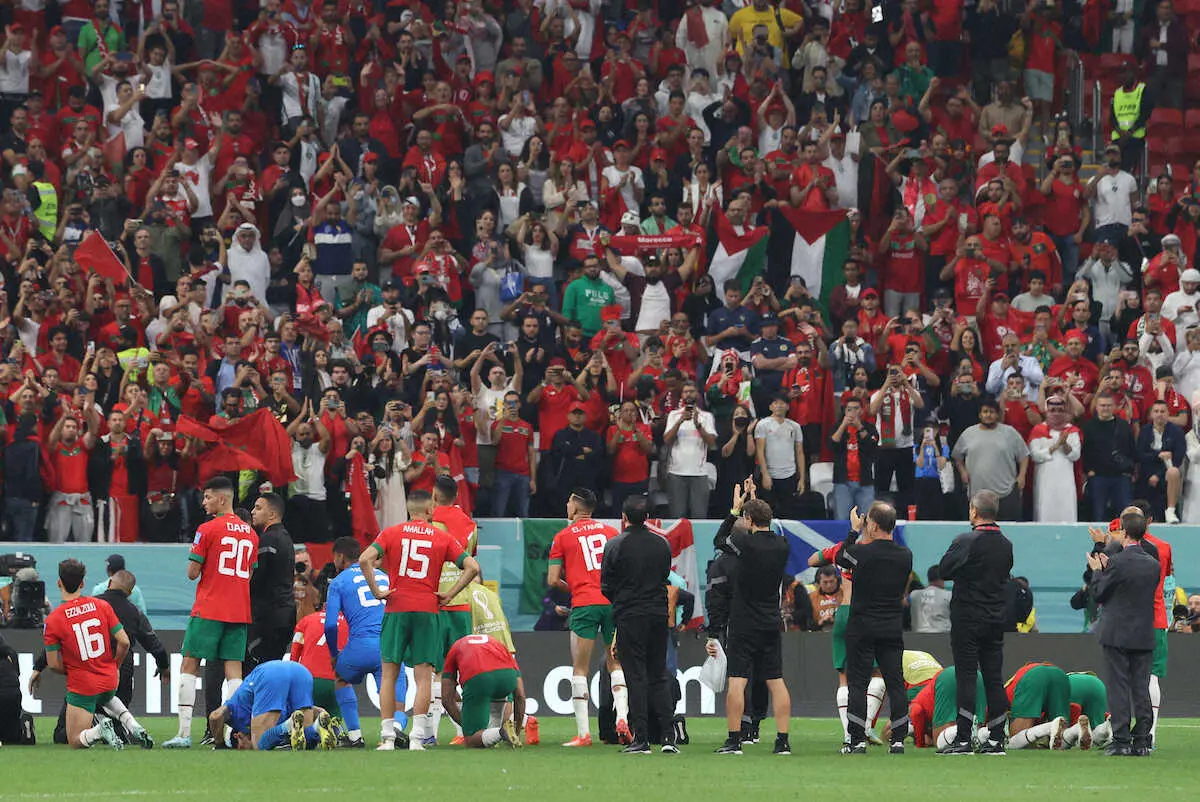 【画像・写真】金子達仁氏　世界に変革促したモロッコの勇気と躍進