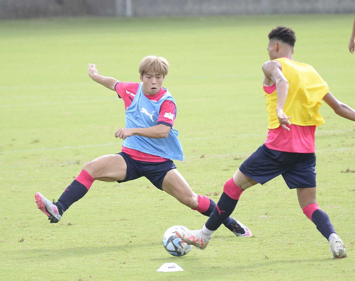 【画像・写真】1年ぶり復帰のMF新井晴樹　クロアチアで“変身”「全部100％のスピードで全部、はがそうとしていた」