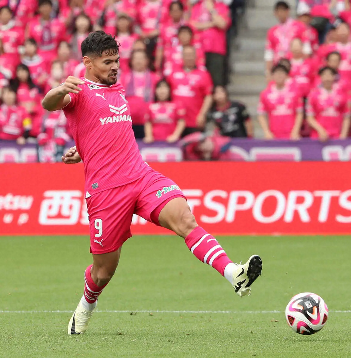 【画像・写真】全選手最多タイのシュート数39本のC大阪・レオ・セアラ