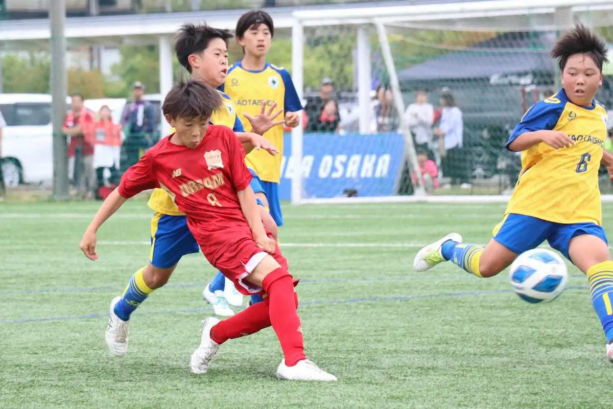 【画像・写真】【AQUAチャレンジカップ大阪府サッカー選手権】DREAM　FC　1stなど計10チームが中央大会へ