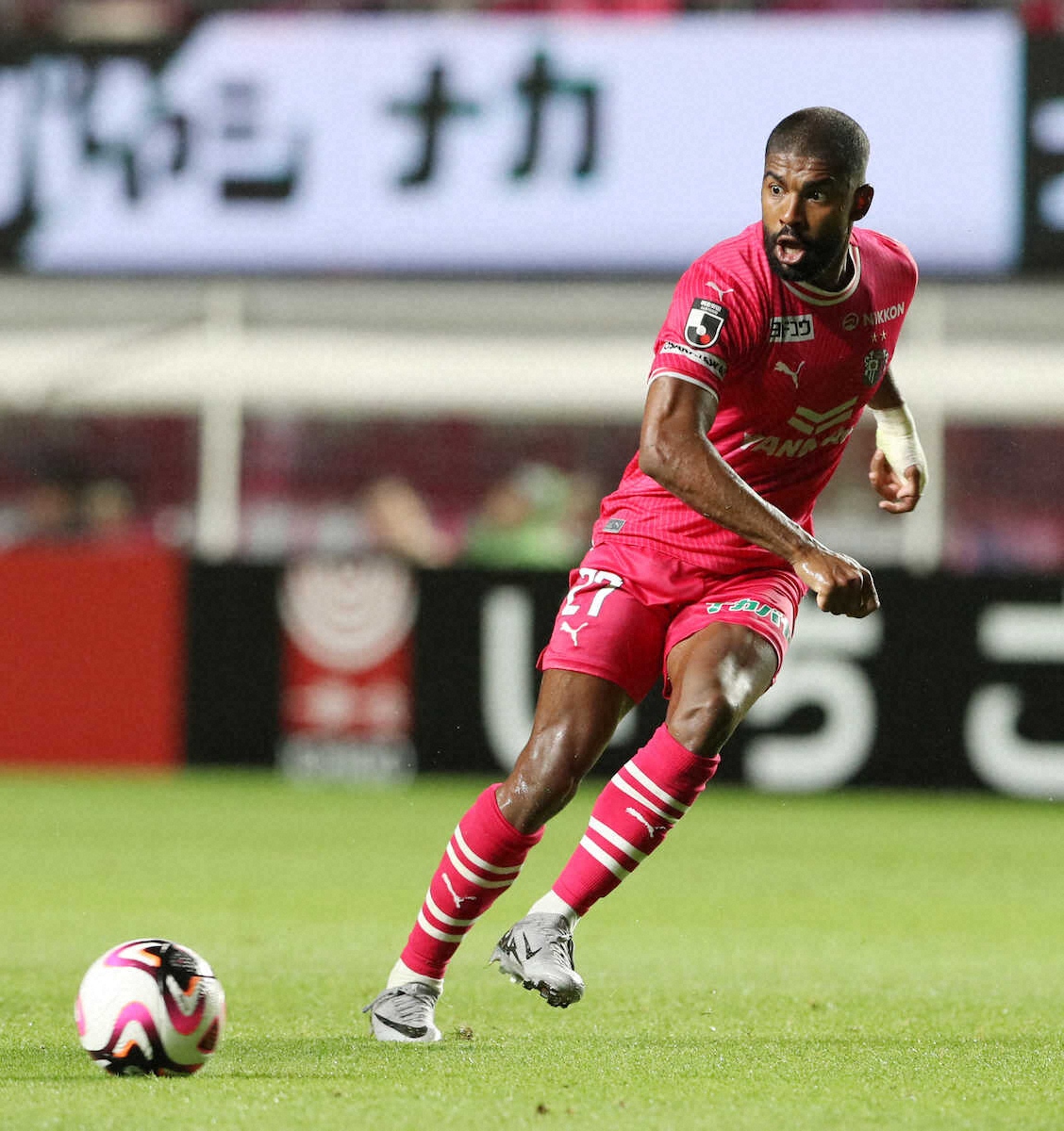 【画像・写真】FWカピシャーバ　よく使う「素晴らしい」「すごい」をはじめ日本語が上達　もし喫茶店で会えば…