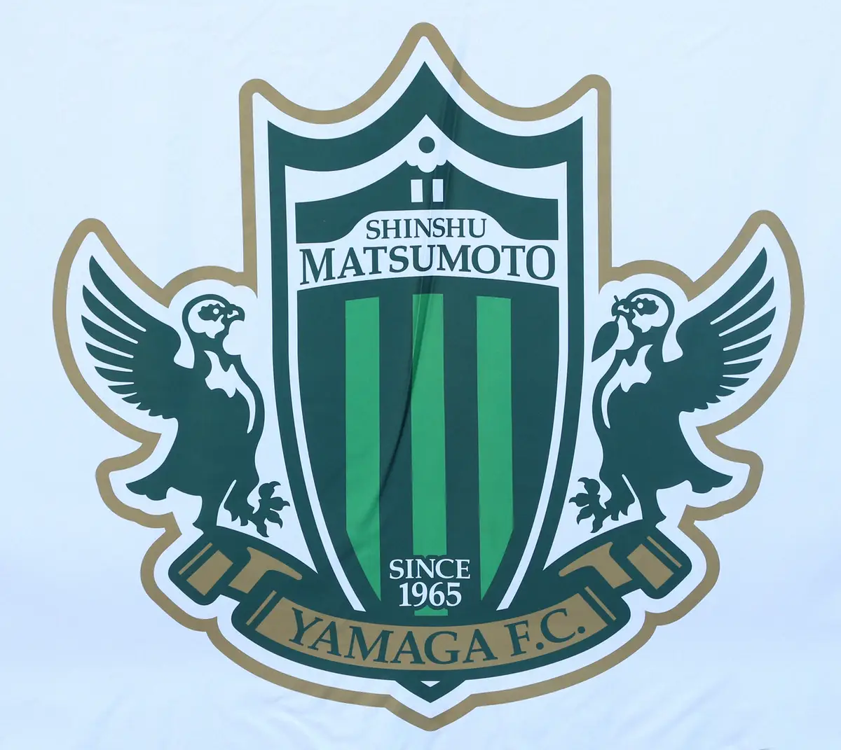 【画像・写真】松本山雅のロゴ