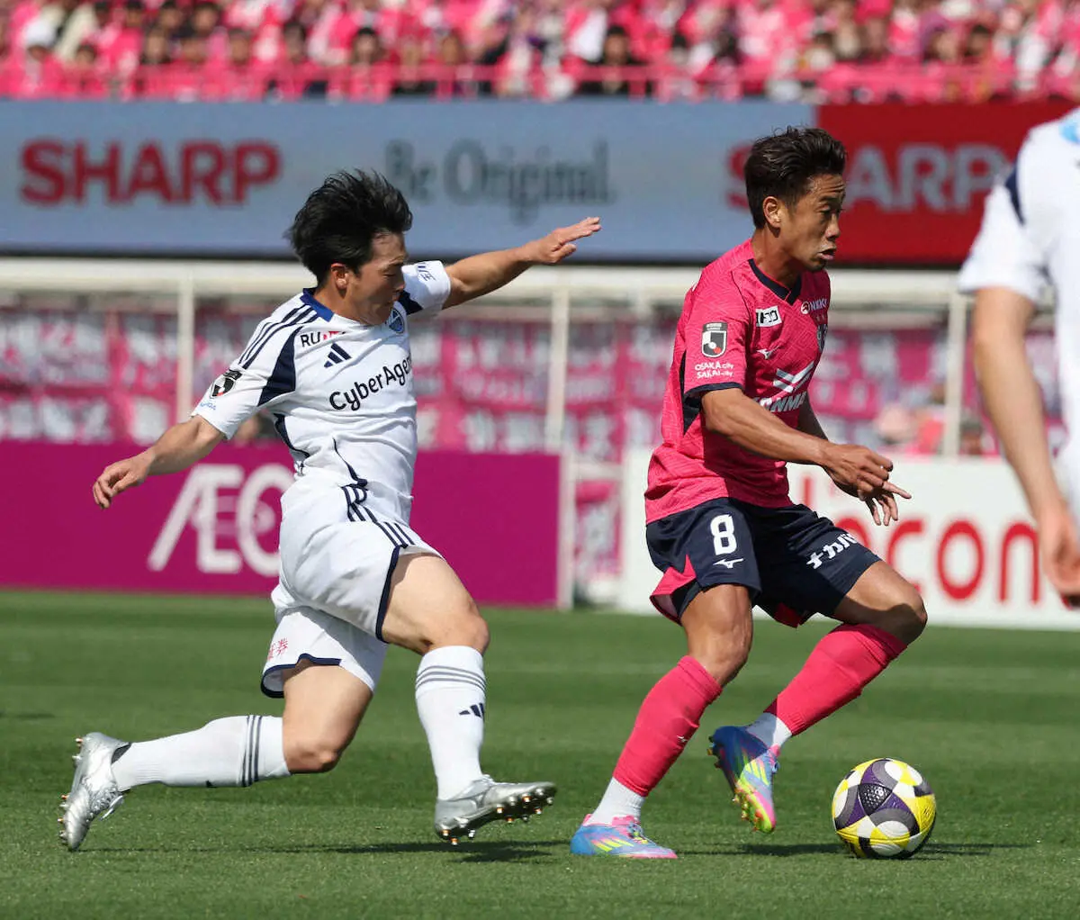 【画像・写真】C大阪はベンチが一人足りない中で連敗　試合中も故障者が出るなど連戦に不安…　