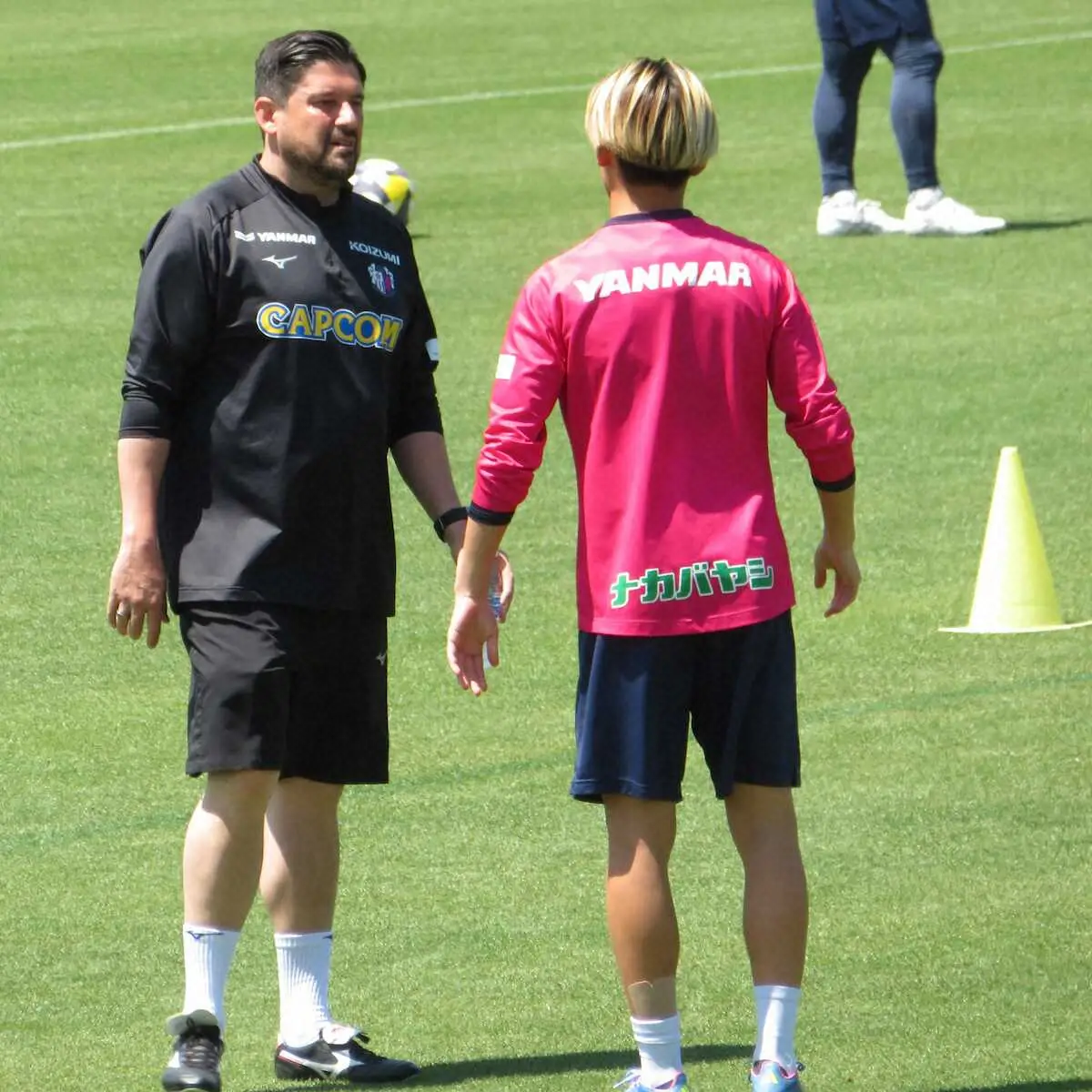 【画像・写真】C大阪　MF北野に復帰メド立つ　パパス監督とDF畠中は古巣・横浜M戦「楽しみです」