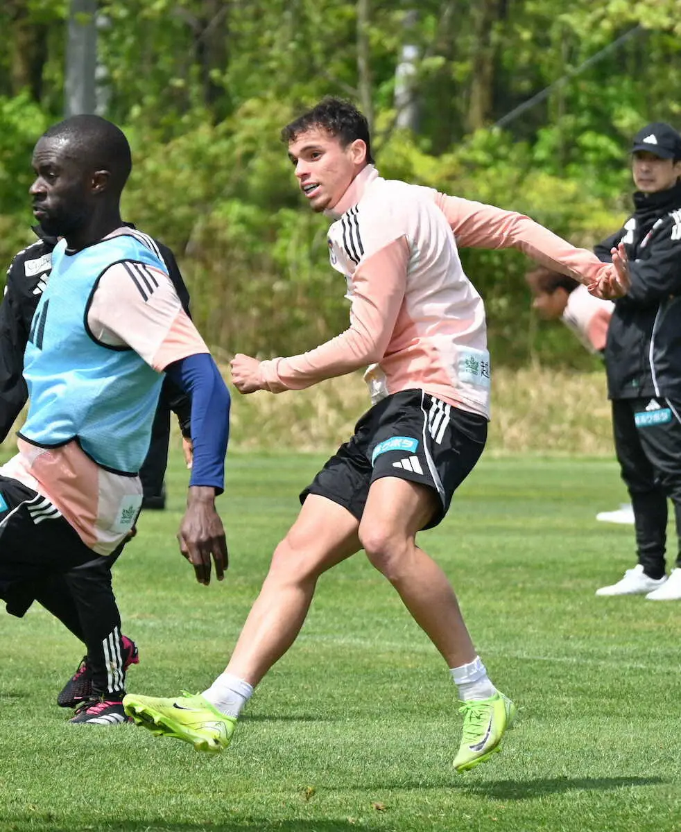 【画像・写真】J1新潟は11日にホームでの浦和戦　ゴメスが抜群の突破力で2試合連続ゴールを狙う