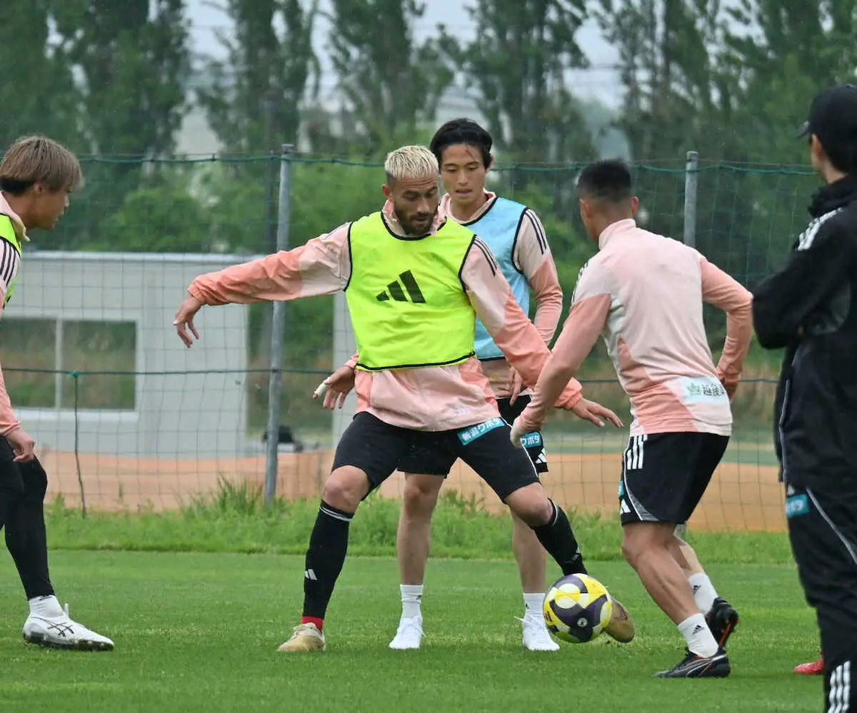 【画像・写真】36歳になっても成長を遂げている新潟・舞行龍