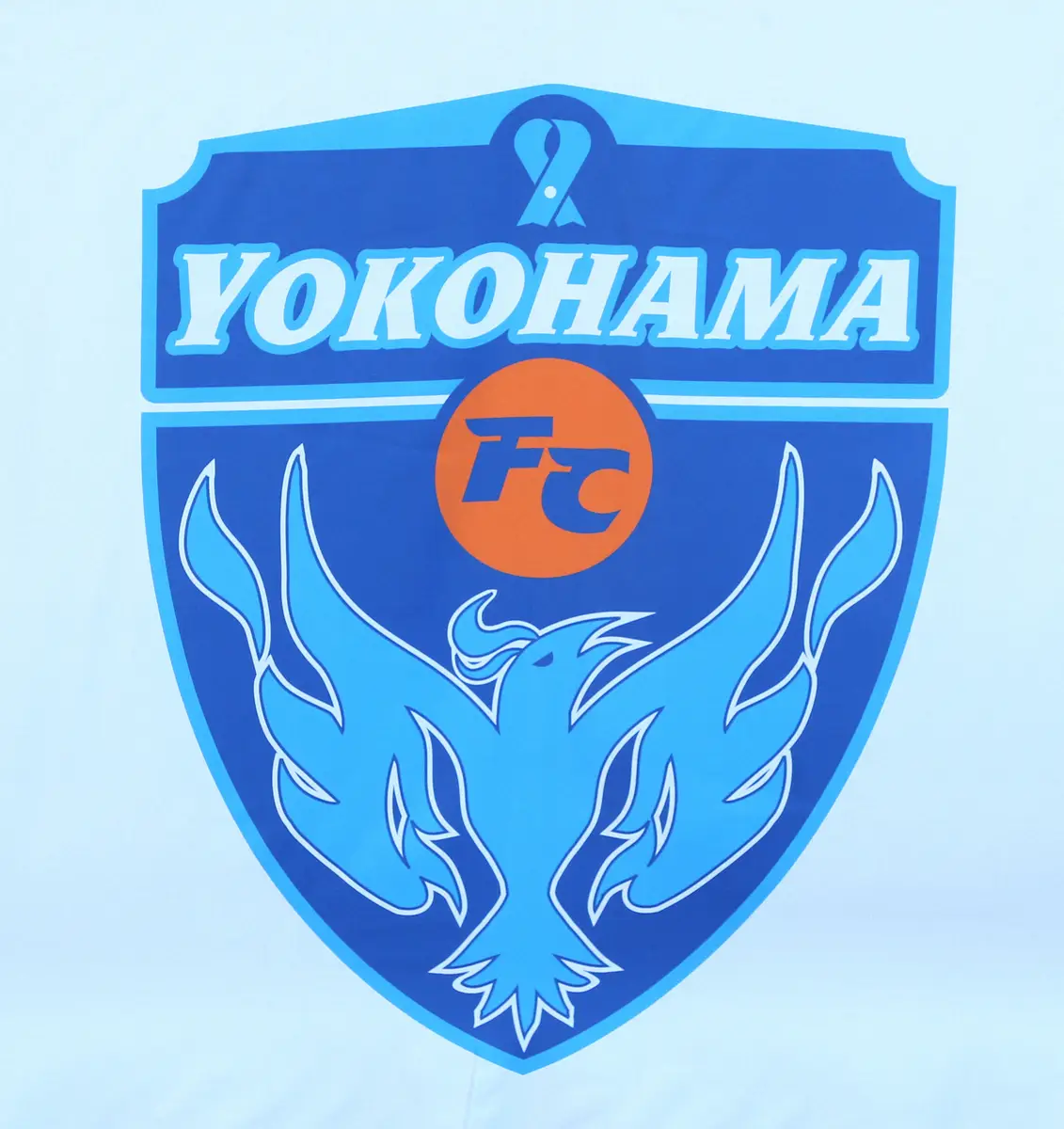 【画像・写真】横浜FC　四方田修平監督との契約を解除　後任は三浦文丈氏　J1残留目指し「厳しい判断をする事に」