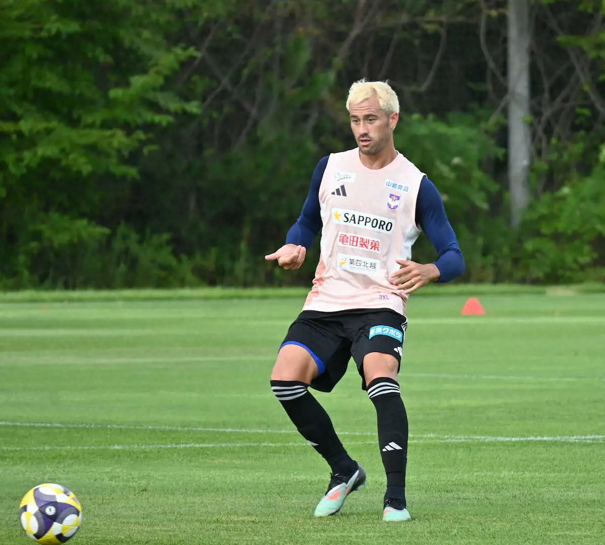 【画像・写真】結果だけを求めて、チームを鼓舞し続けている新潟・舞行龍