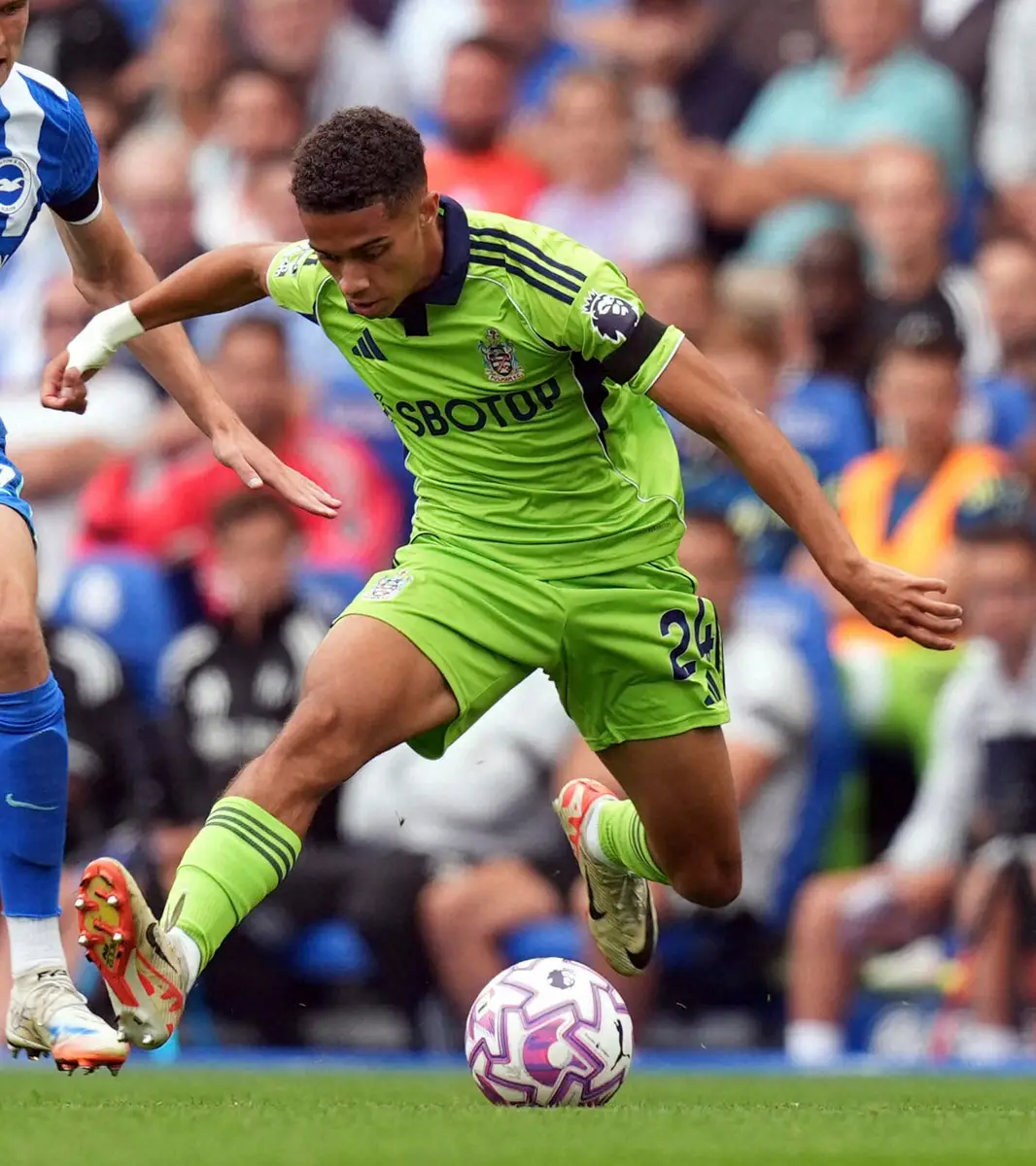 【画像・写真】“幻のゴール”フラムの月間最優秀ゴールに選出　VARで取り消しも審判団体が誤審認定　支持率83・1％