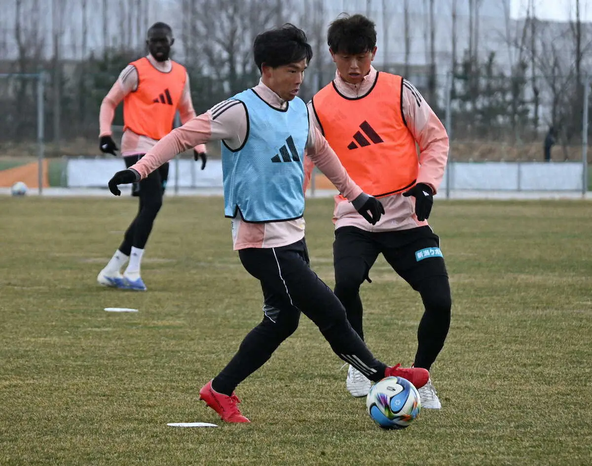 【画像・写真】J2新潟・藤原奏主将　スタイル模索中のチームで心掛ける“役割”「若い選手をどうコントロールするか」