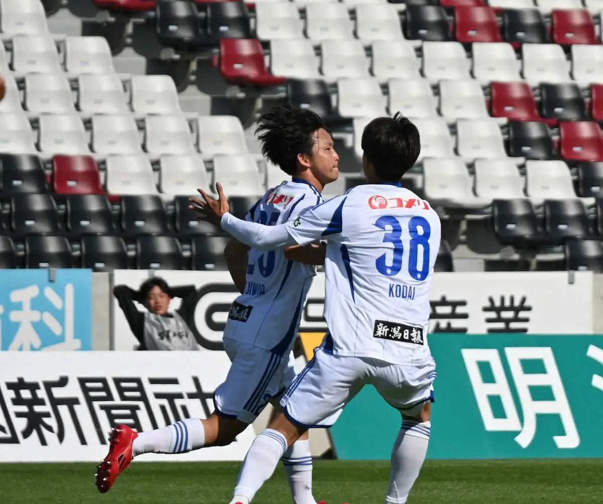 【画像・写真】J2新潟、連勝2でストップ…　藤原奏哉が後半AT執念同点弾もPK戦で涙
