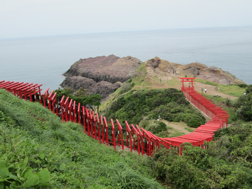 まさに絶景！元乃隅稲成神社。赤い鳥居が海まで延びていきそうだ