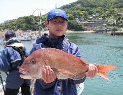 伝統の「ウタセマダイ釣り」 初挑戦・中学生が６４センチ釣り上げた