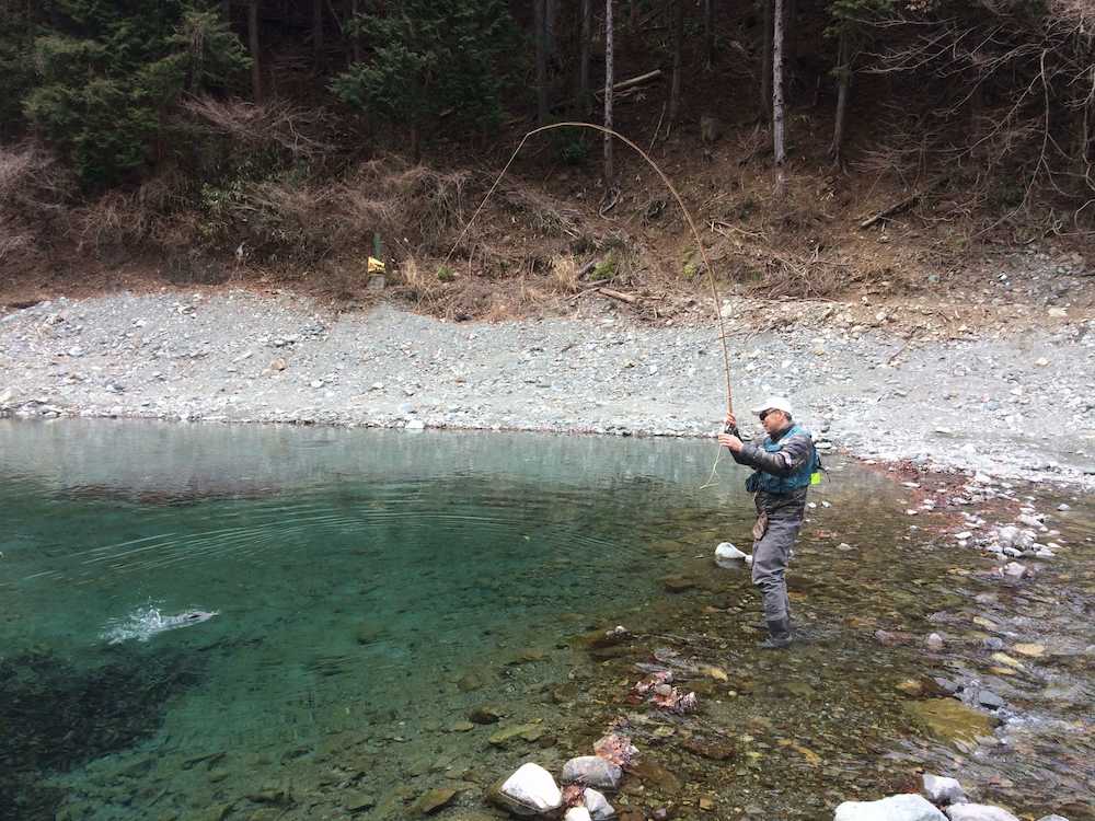【画像・写真】白銀に輝くドナルドソン　チェコニンフシステムで４３センチ