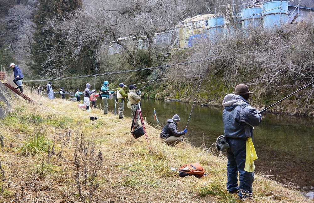 岐阜県郡上市八幡町で、解禁日に小駄良川で成魚を狙う釣り人ら